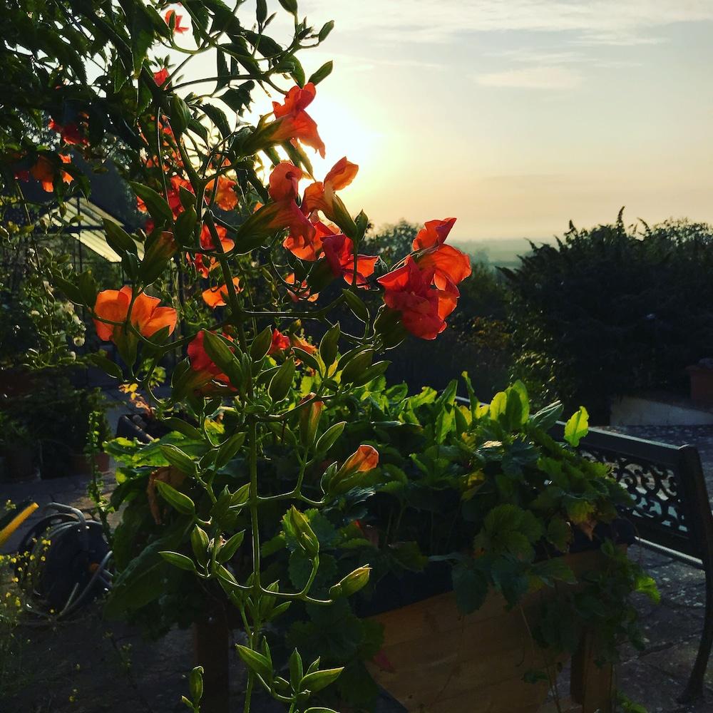 Shakespeare'S View Ξενοδοχείο Στράτφορντ απόν Έιβον Εξωτερικό φωτογραφία